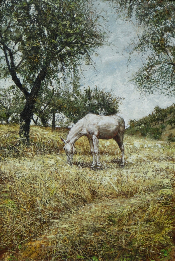 Horse in Field